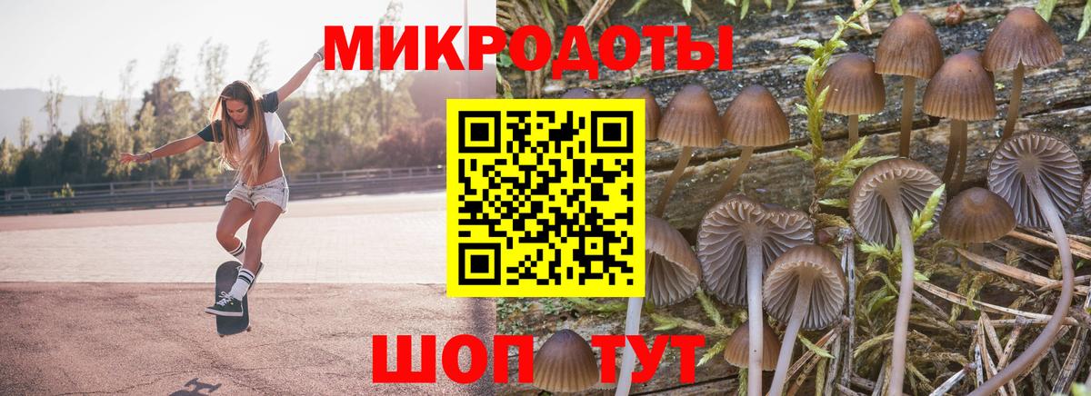 Выкса  Галлюциногенные грибы Cubensis  Вход с VPN  Псилоцибиновые грибы MAGIC MUSHROOMS 